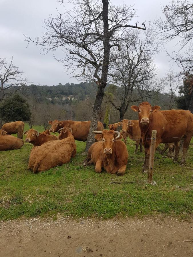 Harveys Homestay - Adults Only Mieres  Exterior foto